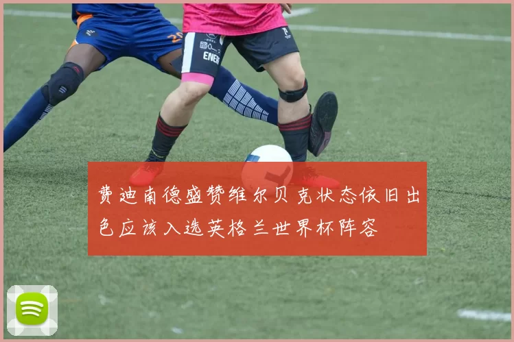 费迪南德盛赞维尔贝克状态依旧出色应该入选英格兰世界杯阵容