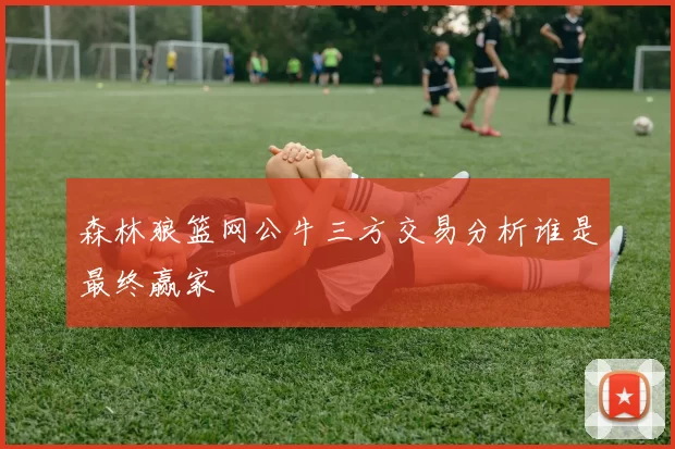 森林狼篮网公牛三方交易分析谁是最终赢家