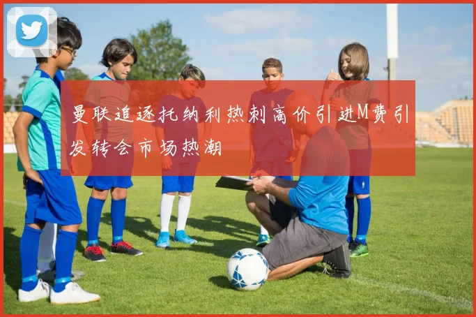 曼联追逐托纳利热刺高价引进M费引发转会市场热潮